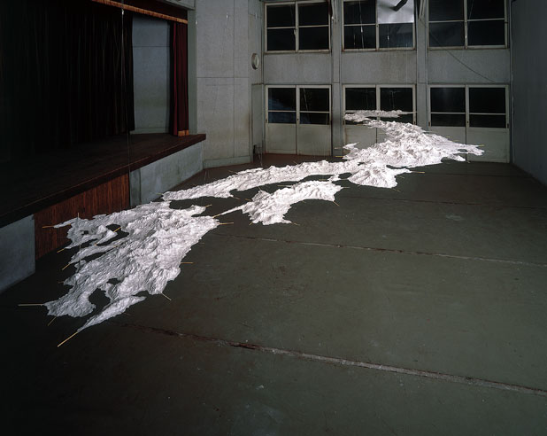 1998_zhang_wei_2.jpg