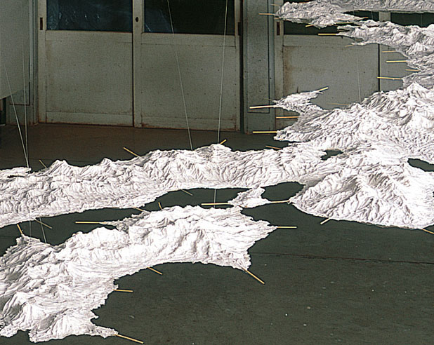 1998_zhang_wei_3.jpg